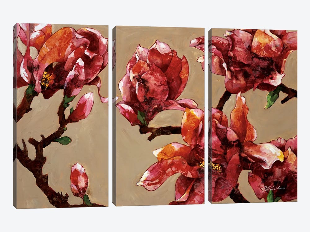 Elegant Magnolia by Joyce Kamikura 3-piece Canvas Art Print