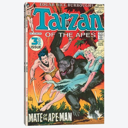 DC Tarzan No 209 Canvas Print #JKU1} by Joe Kubert Canvas Art