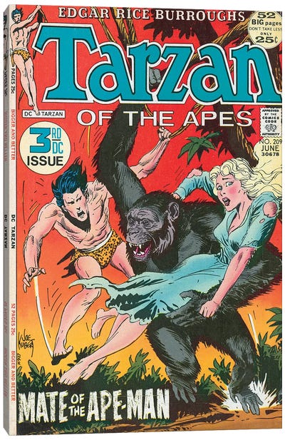 DC Tarzan No 209 Canvas Art Print - The Edgar Rice Burroughs Collection