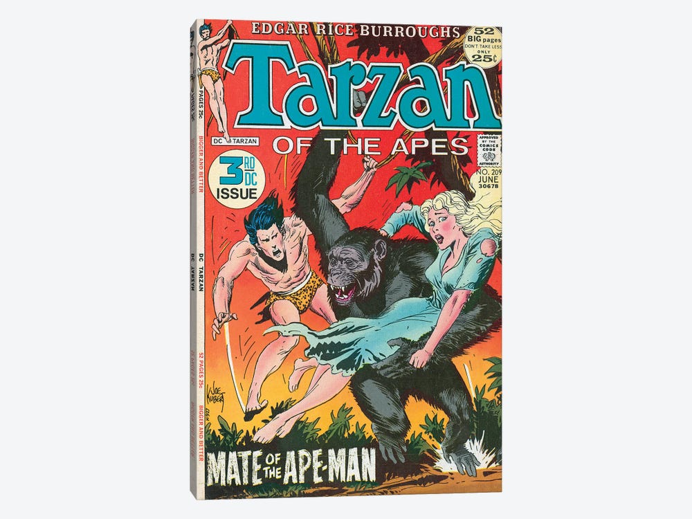 DC Tarzan® No 209 by Joe Kubert 1-piece Canvas Art Print