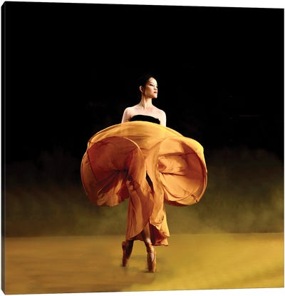 Ballerina Danceras Canvas Art Print