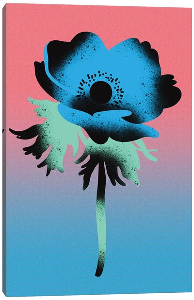 Blue Anemone Blossom Canvas Art Print - Jordan Kay