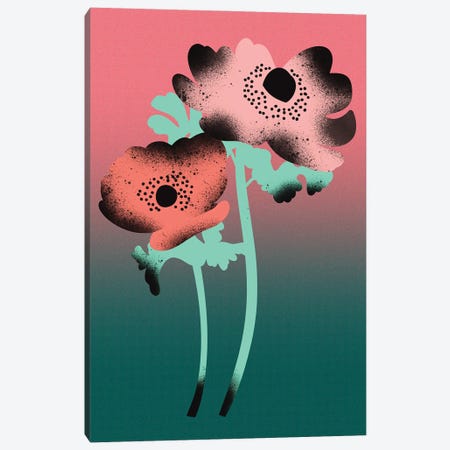 Anemone Flowers Canvas Print #JKY28} by Jordan Kay Canvas Wall Art