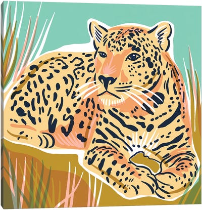 Cheetah Canvas Art Print - Jordan Kay