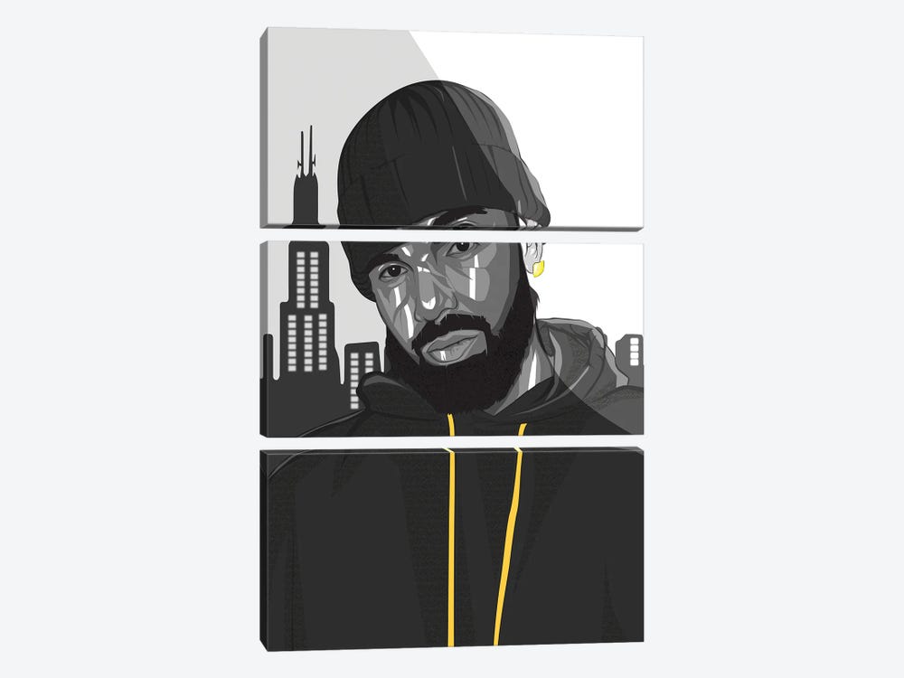 Drake I by Johnktrz 3-piece Canvas Art