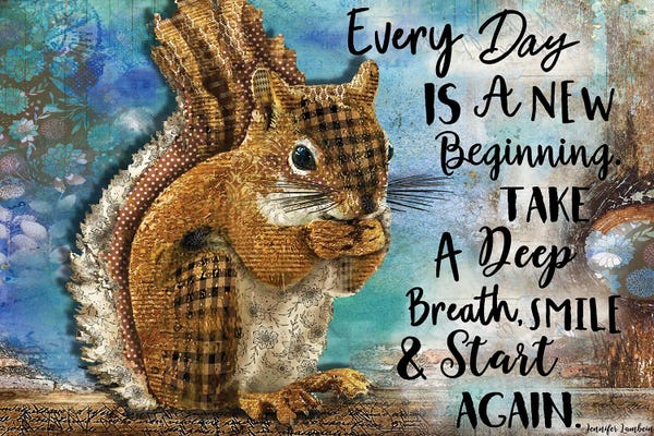 Rodents: Every Day Squirrel by Jennifer Lambein