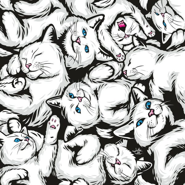 James Lee: White Cats by James Lee