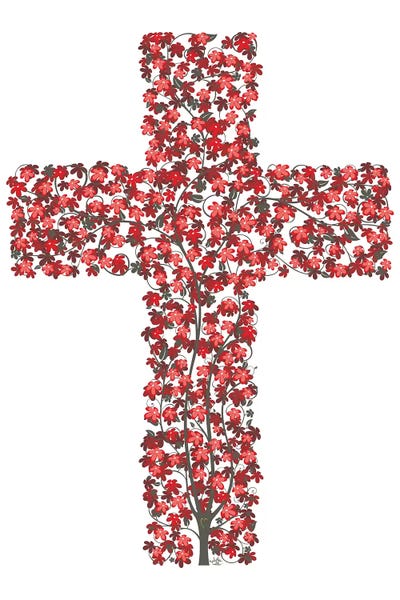James Lee: Abundant Life In The Cross by James Lee