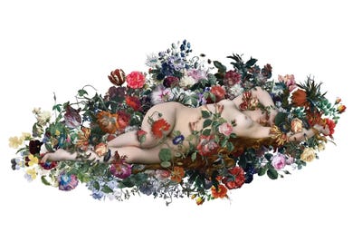 Dreamer by José Luis Guerrero art print