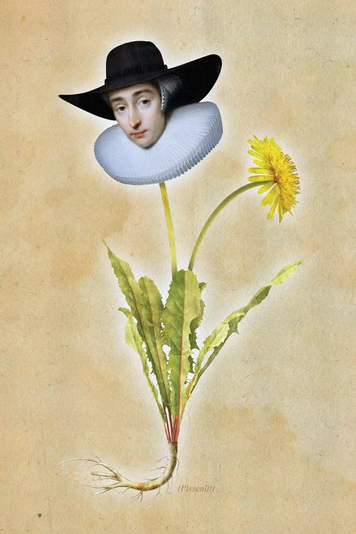 Pissenlit by José Luis Guerrero wall art