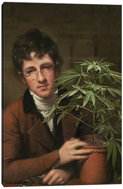 Rubens Peale With A Cannabis Canvas Art Print - José Luis Guerrero
