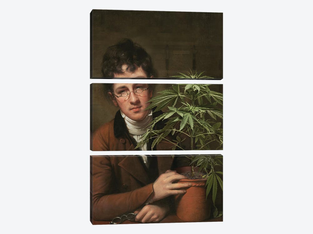 Rubens Peale With A Cannabis 3-piece Canvas Art