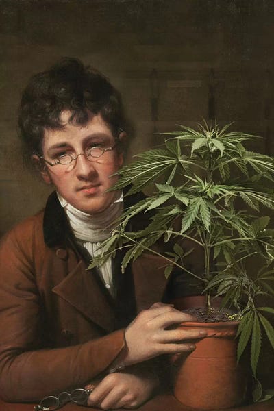Marijuana: Rubens Peale With A Cannabis by José Luis Guerrero