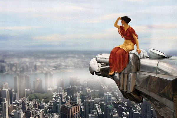 Satirical Humor: Bird's Eye View by José Luis Guerrero