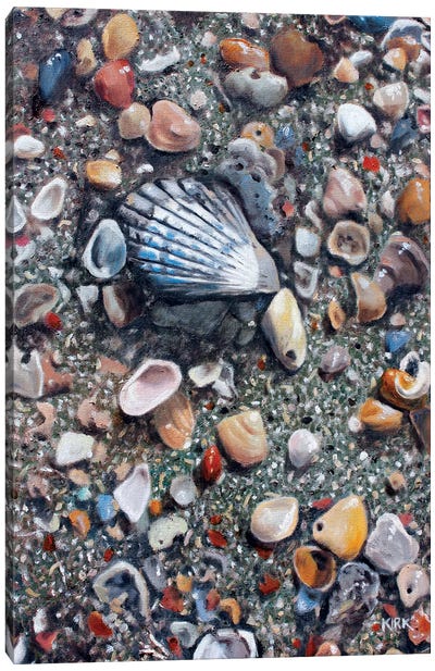 Remnants Of The Tide Canvas Art Print - Ocean Treasures