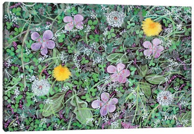 Dandelions and Clover Canvas Art Print - Dandelion Art