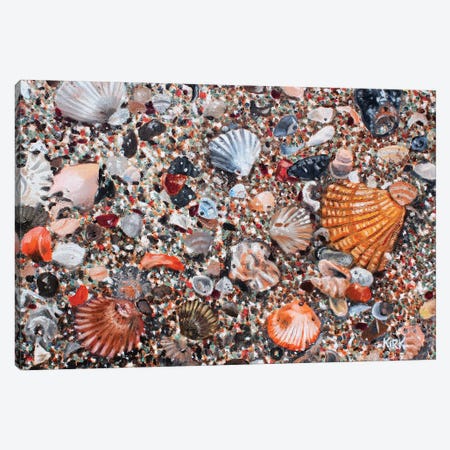 Seashells And Sand Canvas Print #JLK105} by Jerry Lee Kirk Art Print