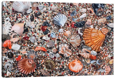 Seashells And Sand Canvas Art Print - Ocean Treasures