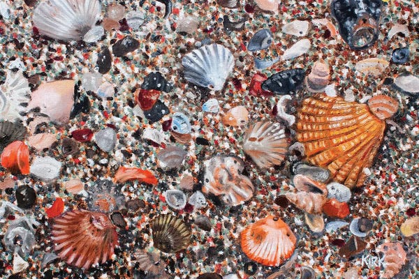 Ocean Treasures: Seashells And Sand by Jerry Lee Kirk