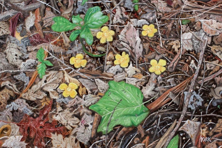 Yellow Flowers