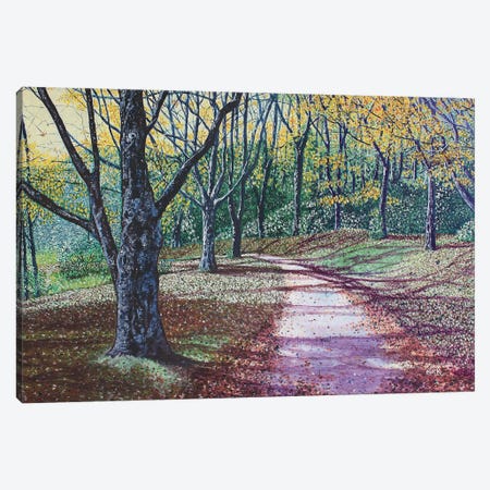Autumn Walk Around Basslake Canvas Print #JLK10} by Jerry Lee Kirk Canvas Artwork