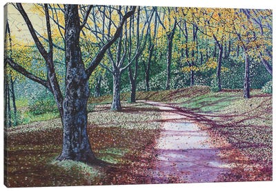 Autumn Walk Around Basslake Canvas Art Print - Jerry Lee Kirk