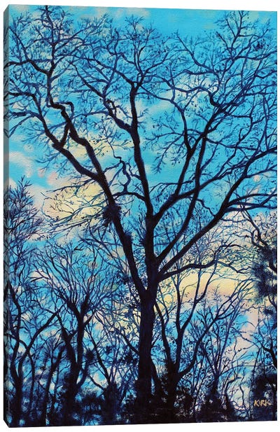 Twilight Trees Canvas Art Print - Jerry Lee Kirk