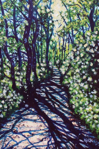 Ombres et Lumières: Sunlight and Shadows by Jerry Lee Kirk