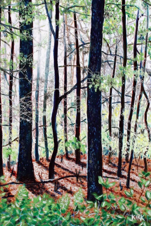 Deep Woods by Jerry Lee Kirk wall art