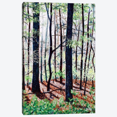 Deep Woods Canvas Print #JLK22} by Jerry Lee Kirk Canvas Print
