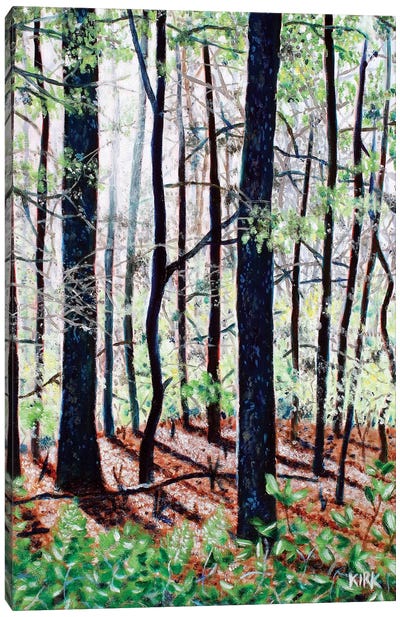 Deep Woods Canvas Art Print - Jerry Lee Kirk