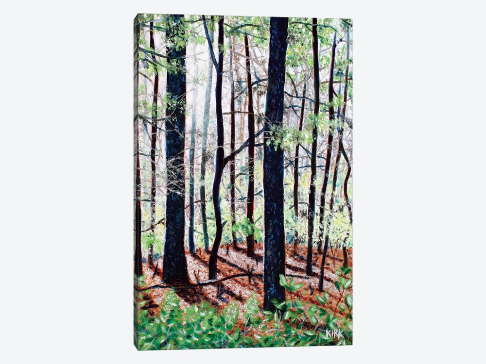 Deep Woods by Jerry Lee Kirk 1-piece Canvas Art Print