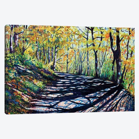 Early Autumn Along The Trail Canvas Print #JLK24} by Jerry Lee Kirk Canvas Art