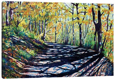Early Autumn Along The Trail Canvas Art Print - Jerry Lee Kirk