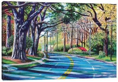 Entering Myers Park Canvas Art Print - Jerry Lee Kirk