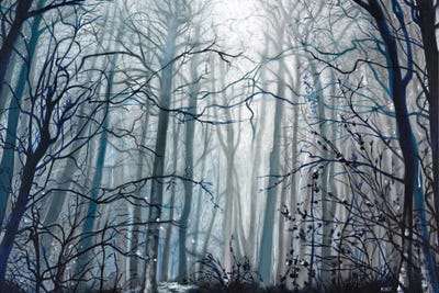 Fog Descending by Jerry Lee Kirk canvas print