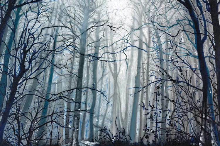 Fog Descending by Jerry Lee Kirk wall art