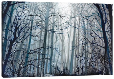 Fog Descending Canvas Art Print - Jerry Lee Kirk