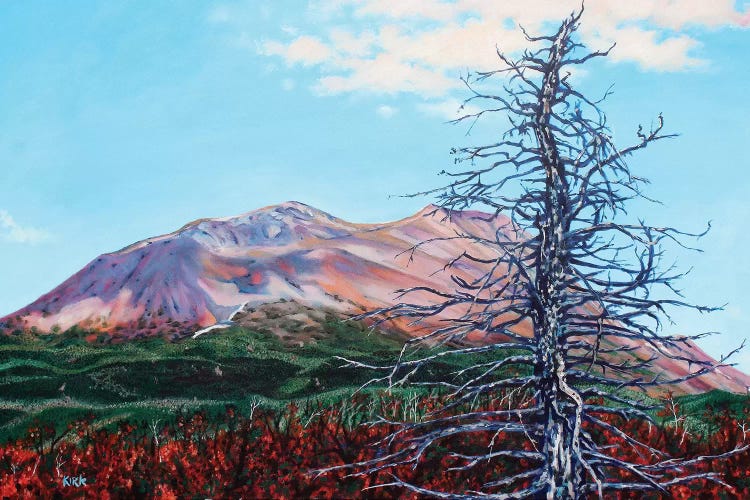 Ghost Tree Alaska by Jerry Lee Kirk wall art