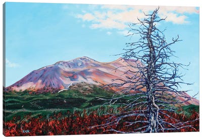Ghost Tree Alaska Canvas Art Print - Jerry Lee Kirk