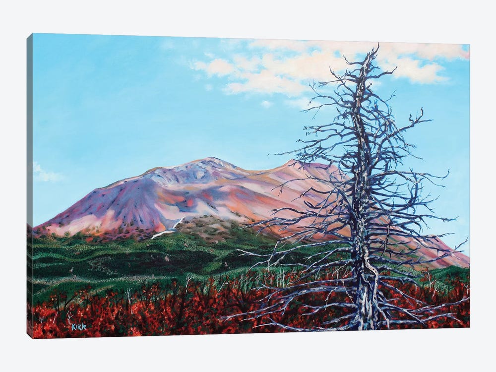 Ghost Tree Alaska by Jerry Lee Kirk 1-piece Canvas Artwork