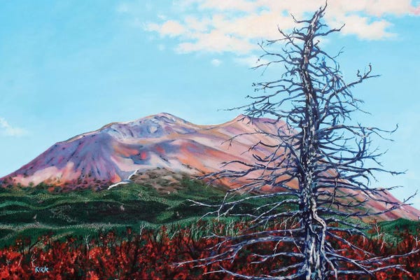 Alaska: Ghost Tree Alaska by Jerry Lee Kirk