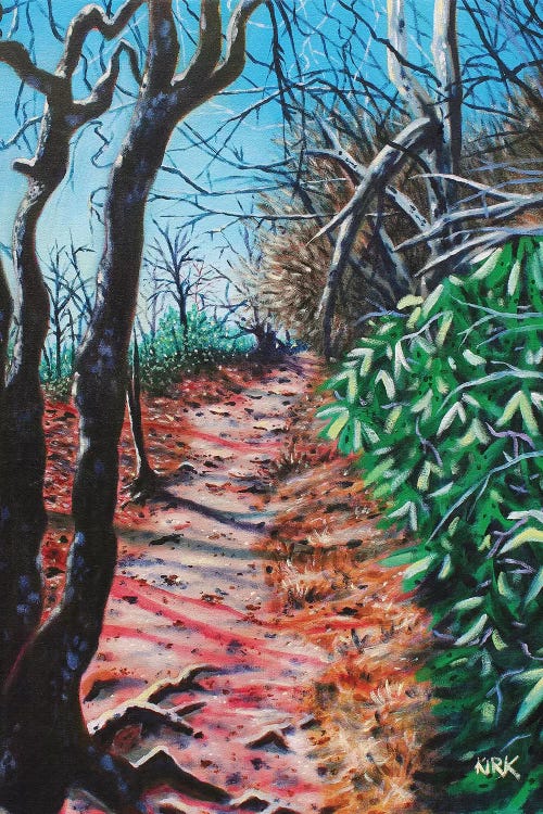 Hiking Trail On Grandfather Mountain by Jerry Lee Kirk wall art