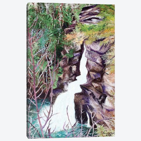 Linville Falls Canvas Print #JLK43} by Jerry Lee Kirk Canvas Art Print