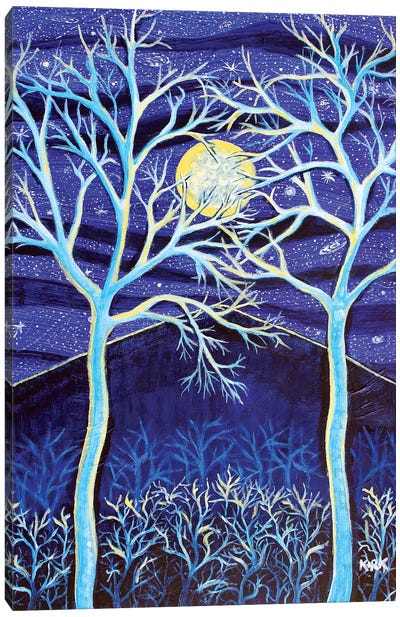 Midnight Mountain Canvas Art Print - Jerry Lee Kirk