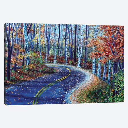 Road To Asheville Canvas Print #JLK53} by Jerry Lee Kirk Canvas Wall Art