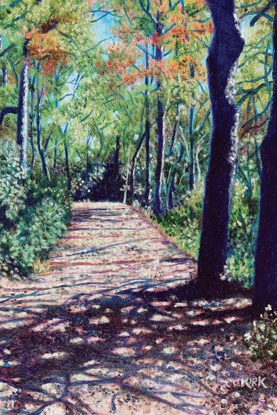 Shadows On The Trail by Jerry Lee Kirk canvas print