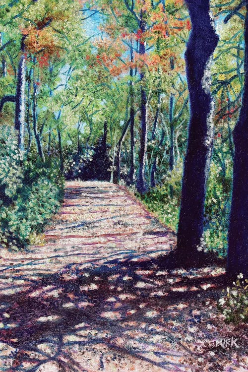 Shadows On The Trail by Jerry Lee Kirk wall art