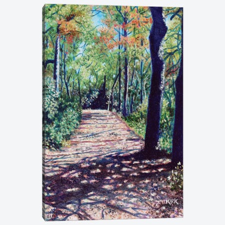 Shadows On The Trail Canvas Print #JLK55} by Jerry Lee Kirk Canvas Print