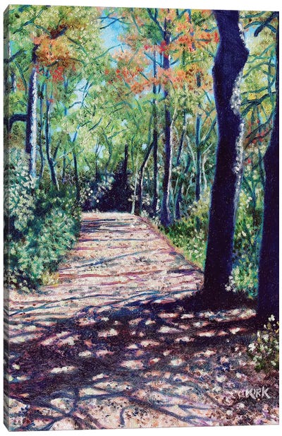 Shadows On The Trail Canvas Art Print - Ombres et Lumières